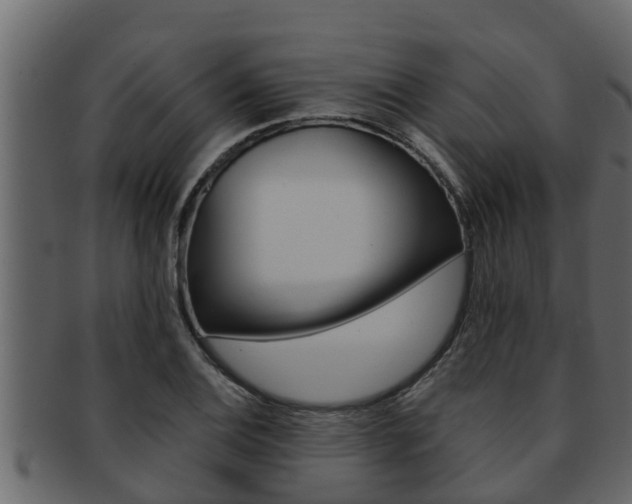 X0000093221124200709261440