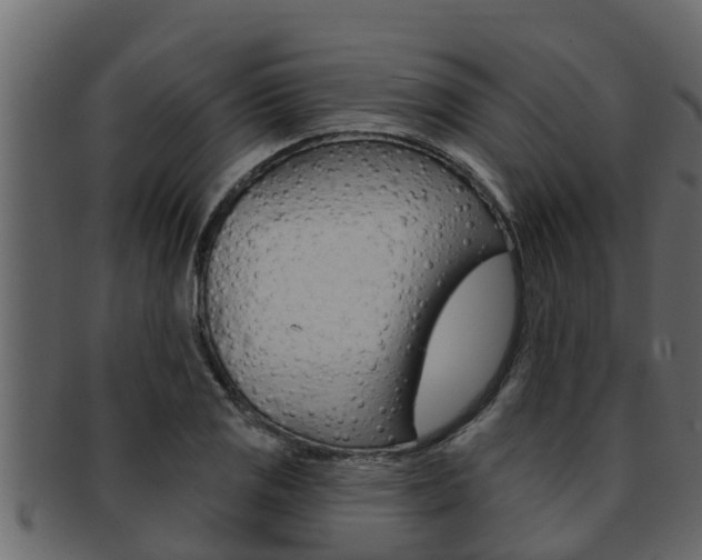 X0000093221125200709261440