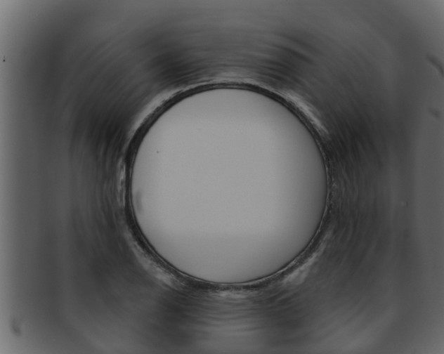 X0000093221126200709261440