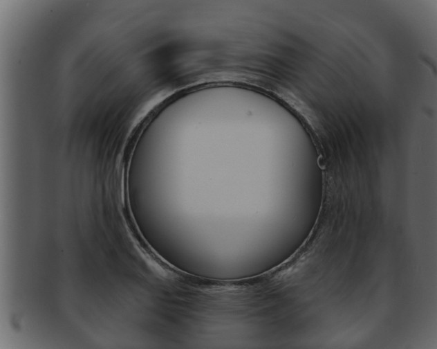 X0000093221127200709261440