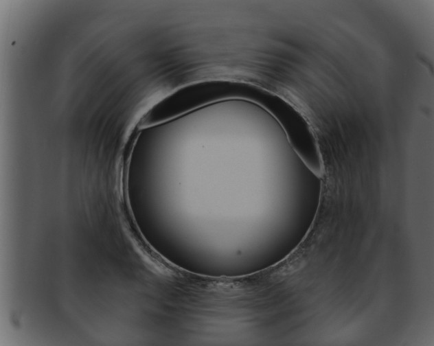 X0000093221128200709261440