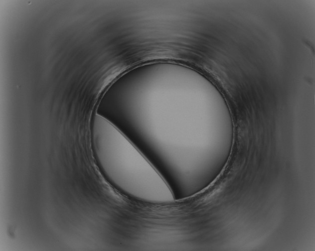X0000093221129200709261440