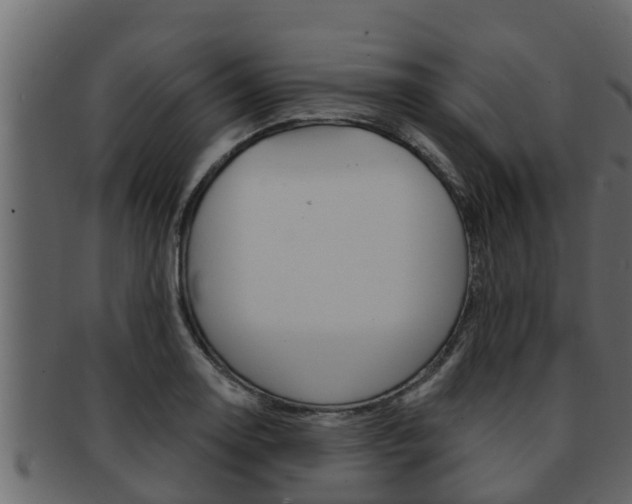 X0000093221130200709261440