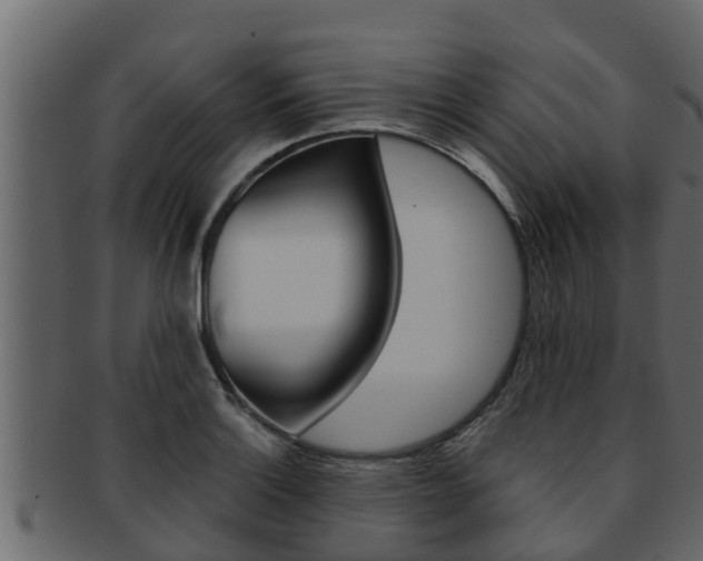X0000093221132200709261440