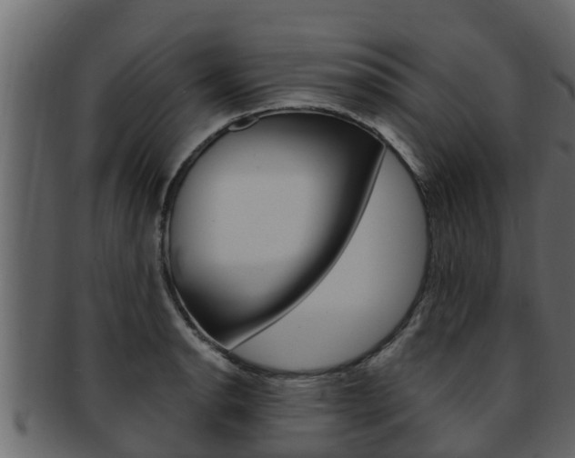 X0000093221134200709261440
