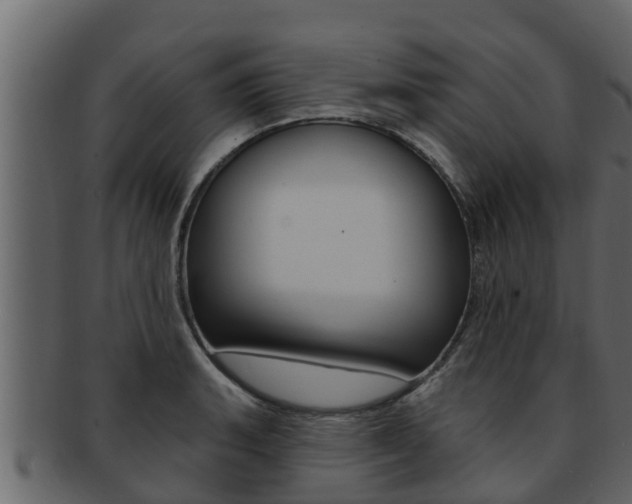 X0000093221135200709261440