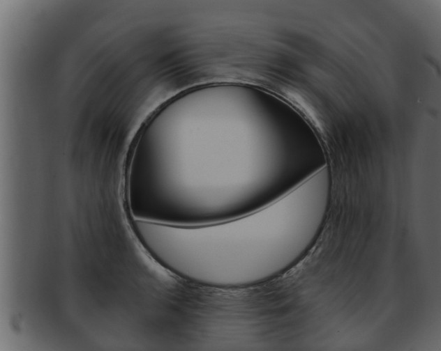 X0000093221136200709261440