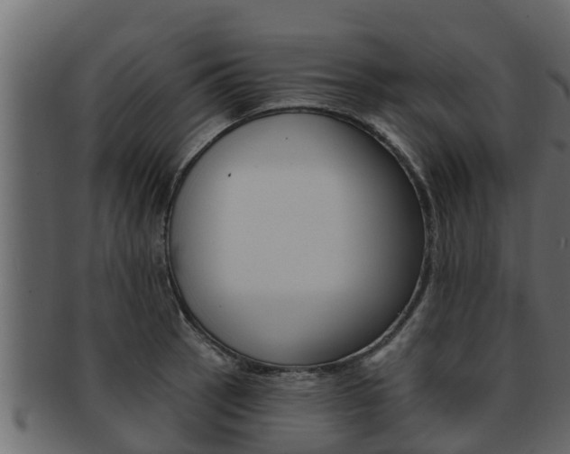 X0000093221137200709261440