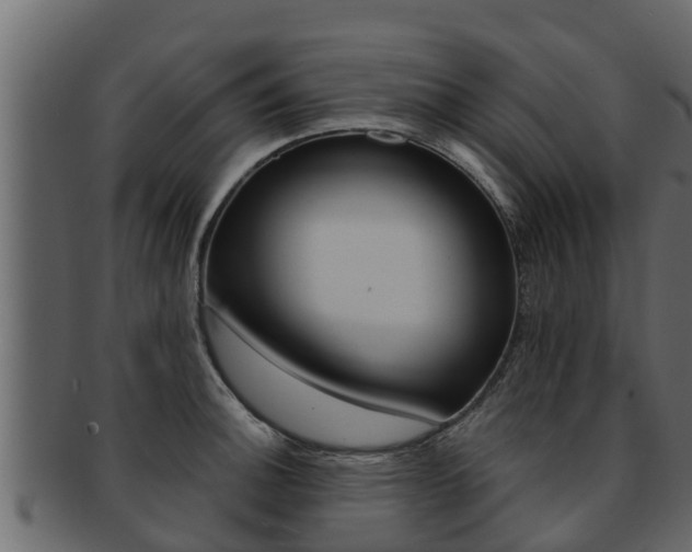 X0000093221140200709261440