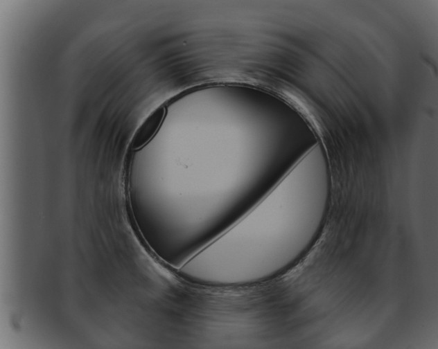 X0000093221141200709261440