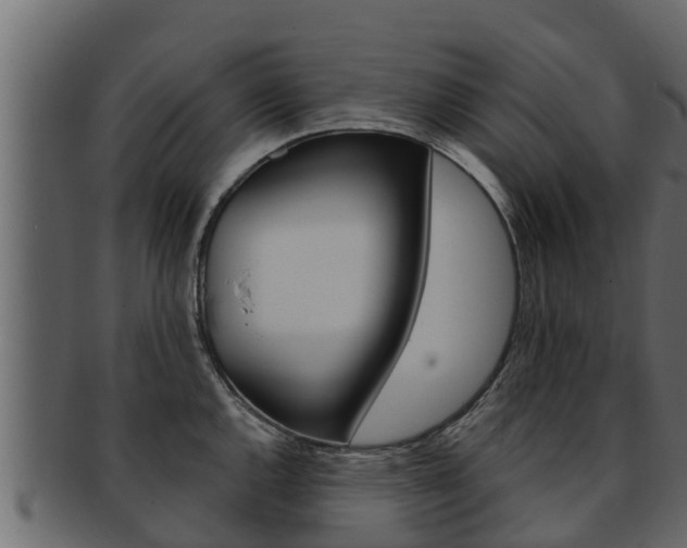 X0000093221144200709261440