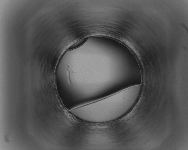 X0000093221145200709261440
