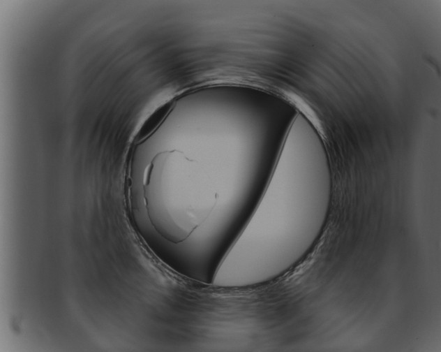 X0000093221146200709261440