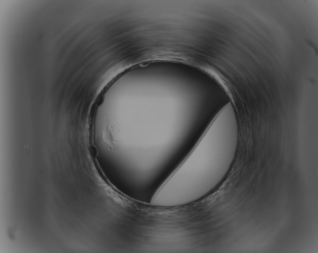 X0000093221147200709261440