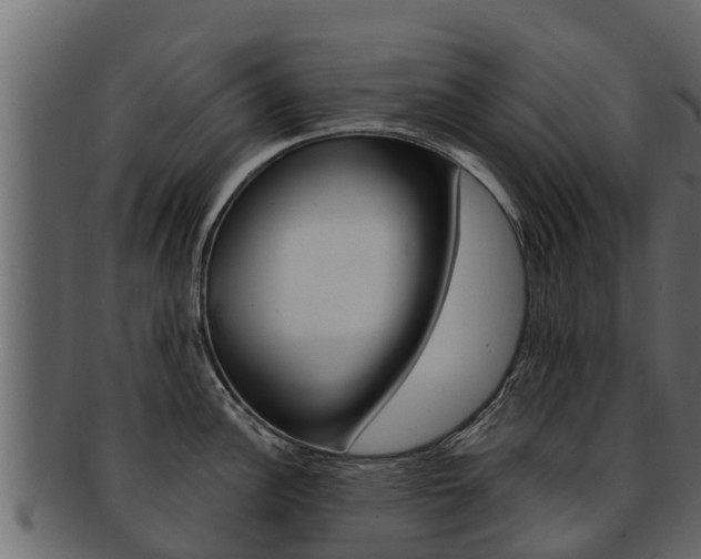X0000093221148200709261440