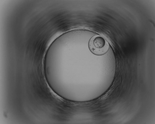 X0000093221151200709261440