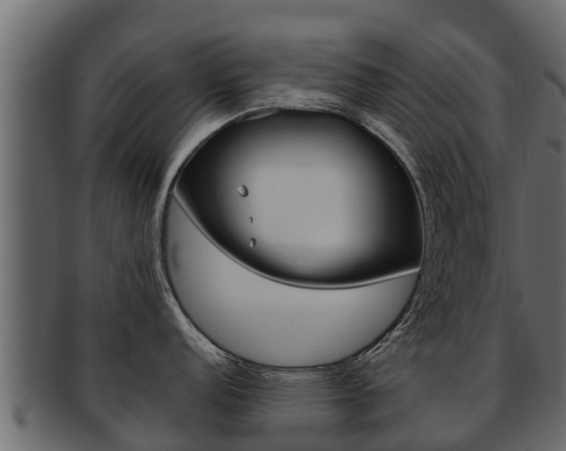 X0000093221152200709261440