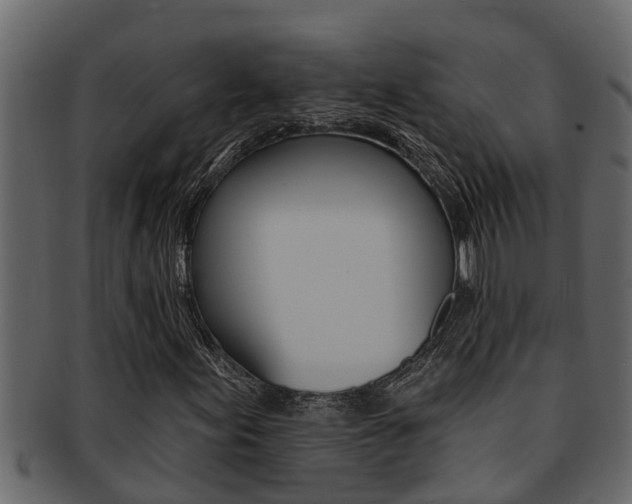 X0000093221155200709261440