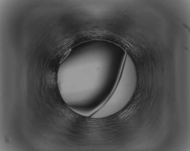 X0000093221156200709261440