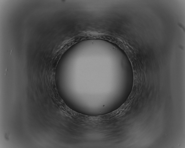 X0000093221157200709261440