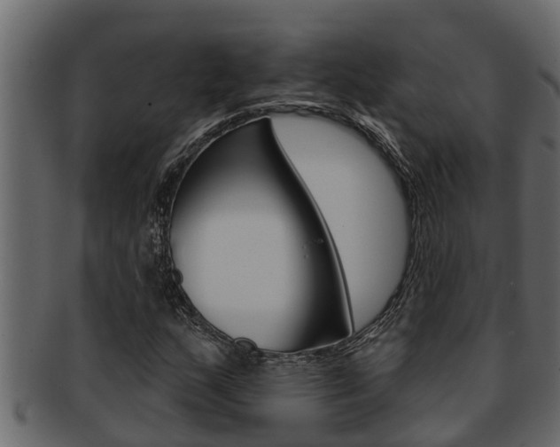 X0000093221159200709261440