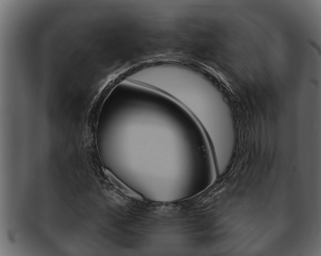 X0000093221160200709261439