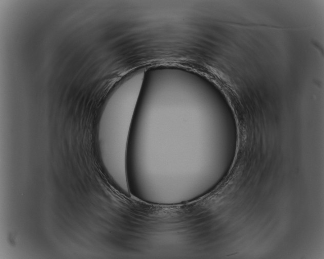 X0000093221161200709261439