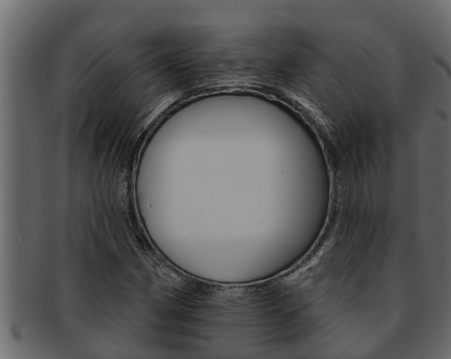 X0000093221162200709261439