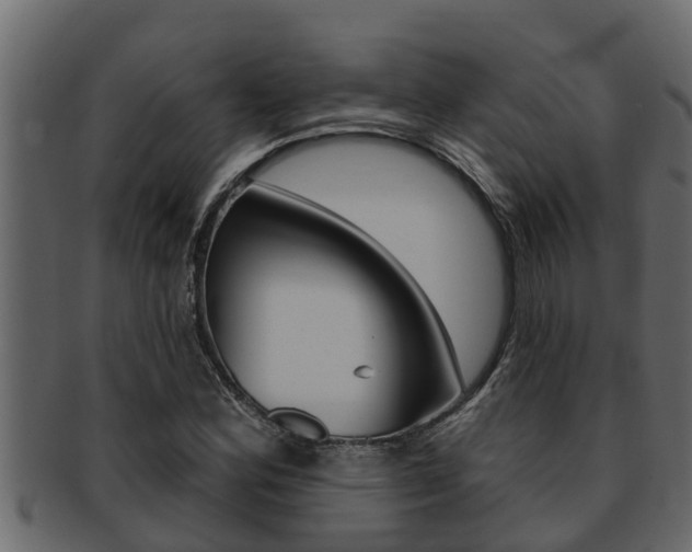 X0000093221164200709261439