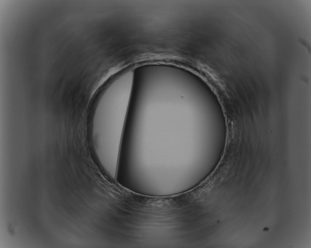 X0000093221165200709261439