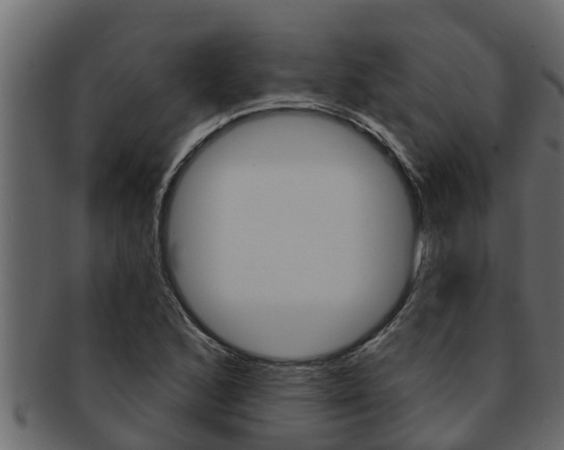 X0000093221168200709261439