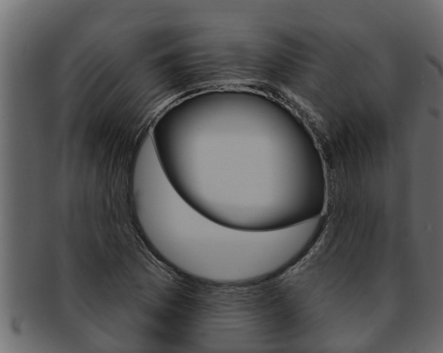 X0000093221169200709261439