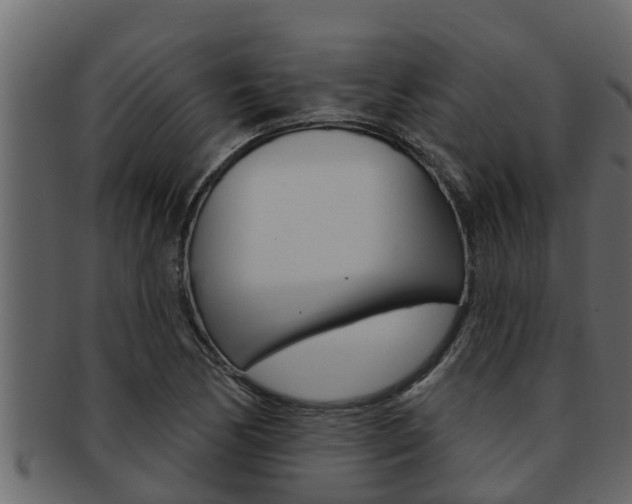 X0000093221170200709261439