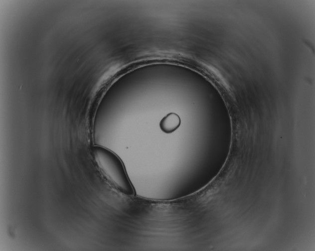 X0000093221172200709261439
