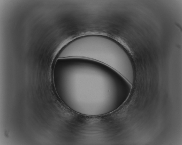 X0000093221173200709261439