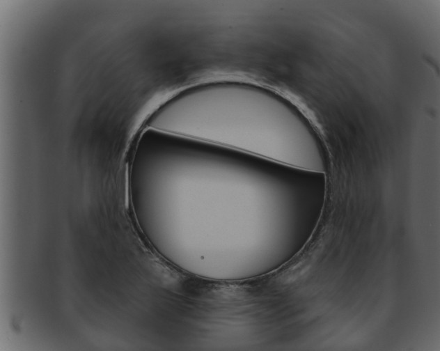 X0000093221175200709261439