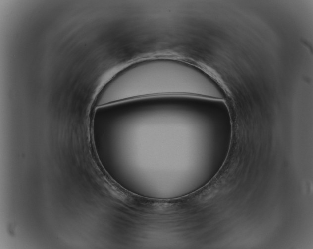 X0000093221176200709261439