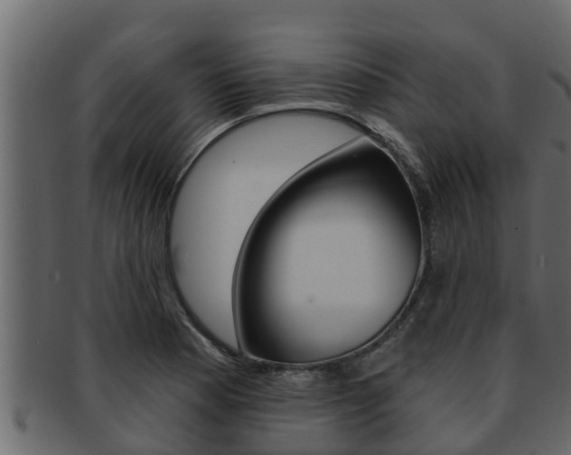 X0000093221177200709261439