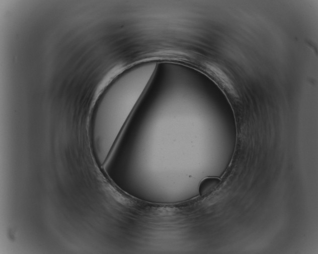 X0000093221180200709261439