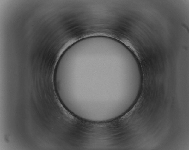 X0000093221181200709261439