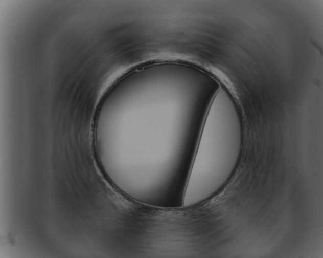 X0000093221183200709261439