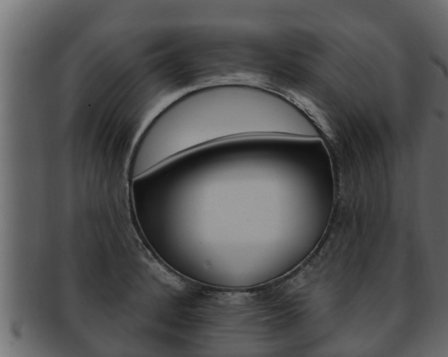 X0000093221184200709261439