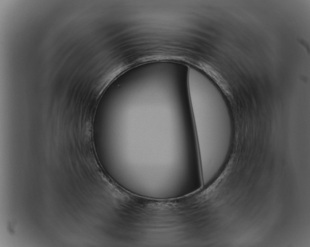X0000093221185200709261439