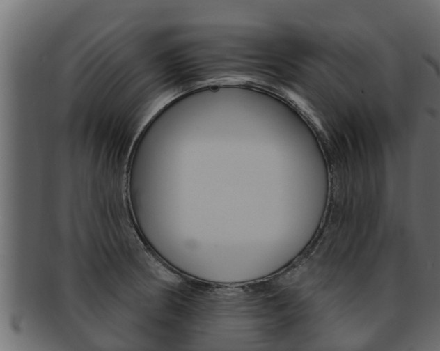 X0000093221186200709261439