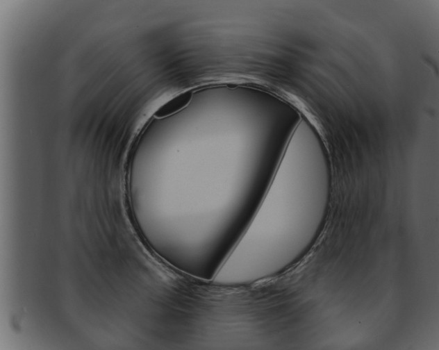X0000093221187200709261439
