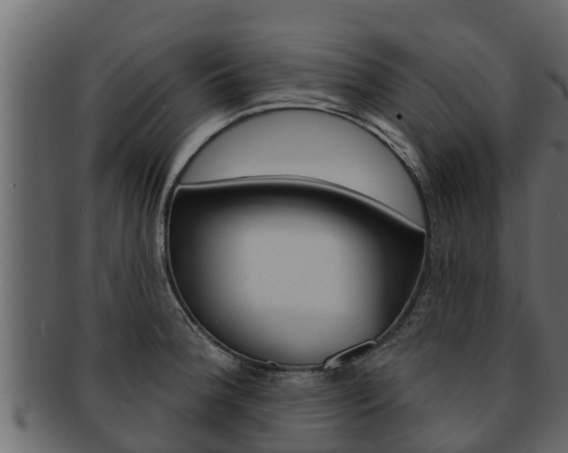 X0000093221188200709261439