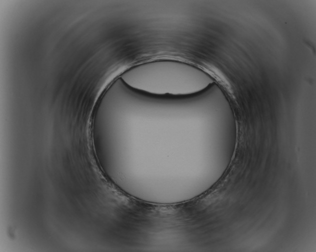 X0000093221190200709261439