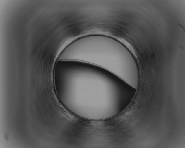 X0000093221191200709261439