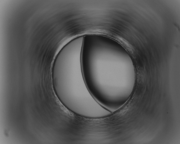 X0000093221192200709261439