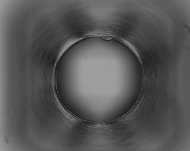 X0000093221195200709261439